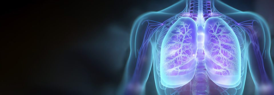 Lungenkrebs ist eine Modellerkrankung für die personalisierte Onkologie.
