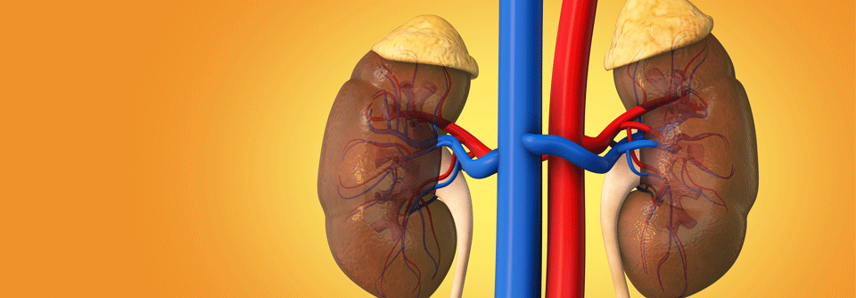 Die Frühdiagnose von Prädiabetes und Diabetes ist von essenzieller Bedeutung für die Risikominderung.