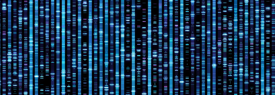 Myelodysplastische Syndrome umfassen 16 molekulare Gruppen, die klinische Phänotypen und Prognosen beeinflussen könnten.