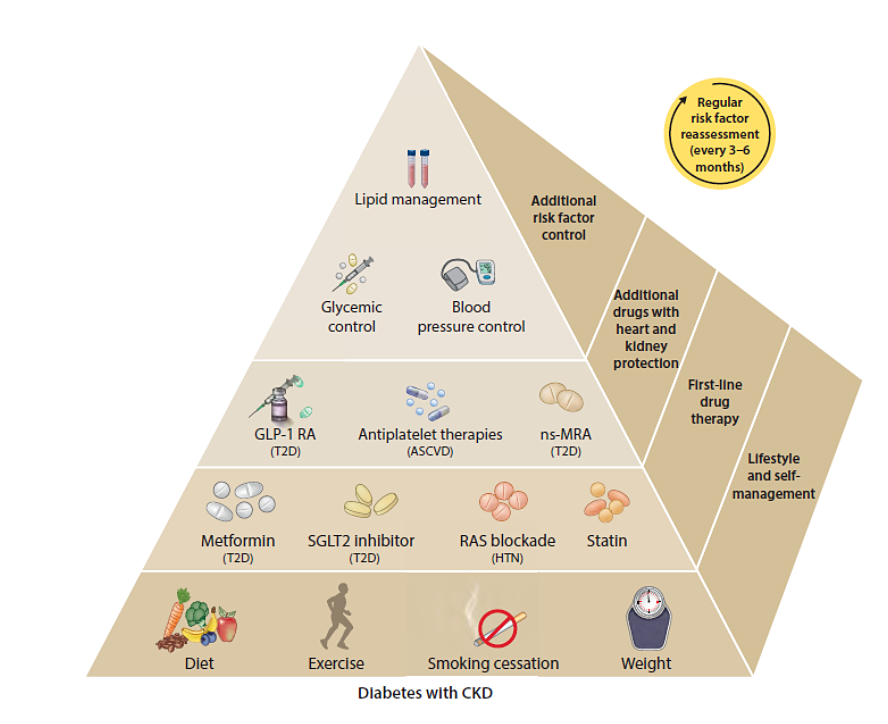 Abbildung 3: Umfassende Versorgung von Patienten mit Diabetes und CKD (nach [2])