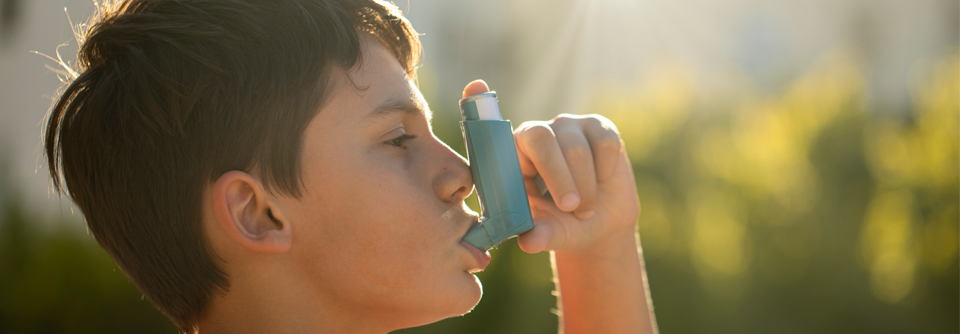 Mononukleäre Zellen von gesunden und an Asthma erkrankten Kindern und Jugendlichen wurden 24 Stunden lang mit Staub aus einem Kuhstall inkubiert.