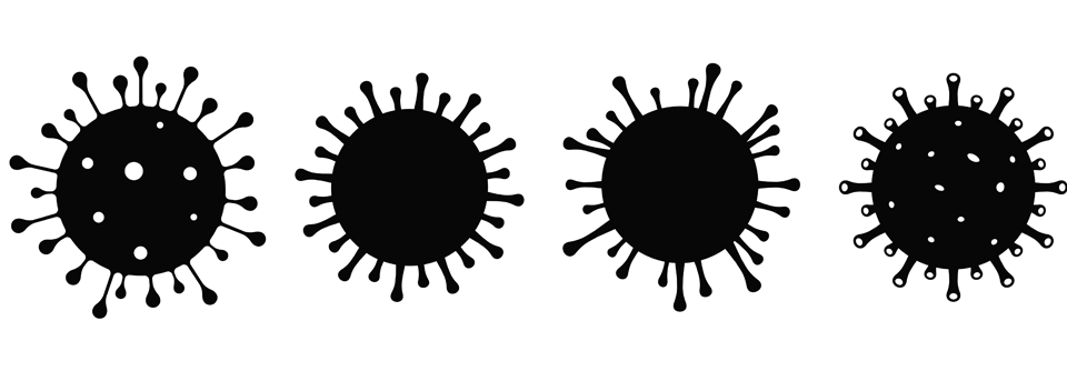 Pegivirus 1 kann Enzephalomyelitis auslösen Eine Virusart, die beim Menschen gar nicht so selten vorkommt, kann offenbar bei Immunsupprimierten eine schwere Enzephalomyelitis auslösen.