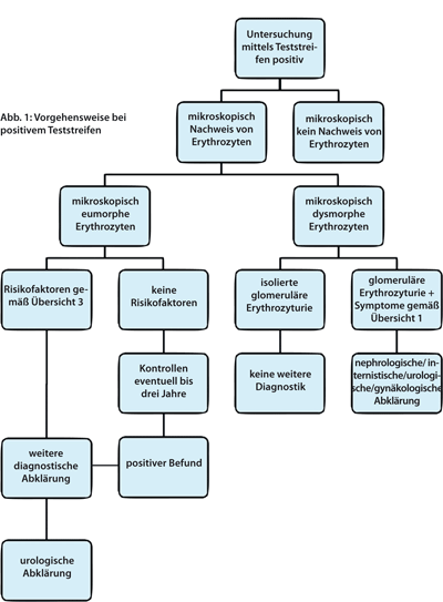 Abb. 1: Vorgehensweise bei positivem Teststreifen