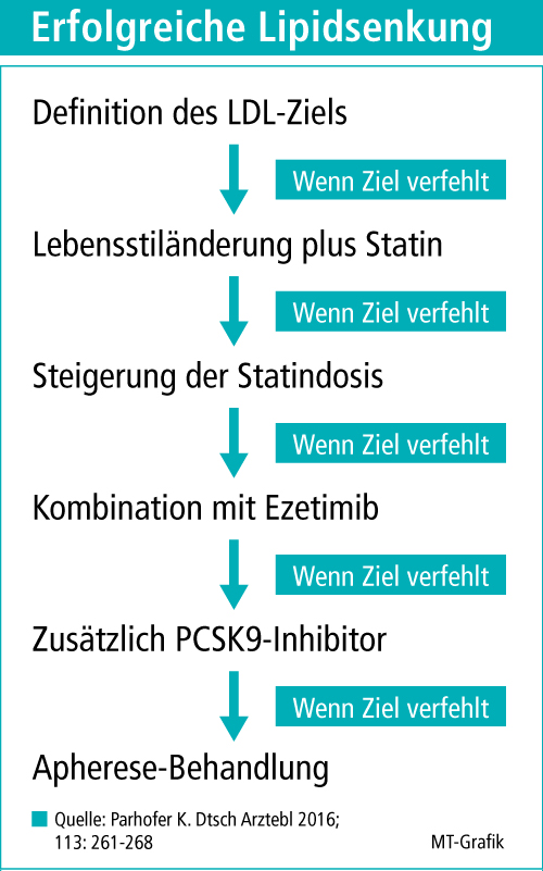 Erfolgreiche Lipidsenkung