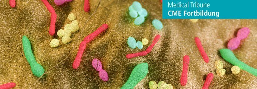 Lebende Mikroorganismen korrigieren die Dysbiose bei Darmerkrankungen.