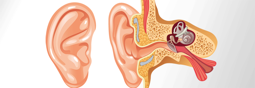 Ein Hörverlust ist vor allem bei kleineren Kindern gravierend.