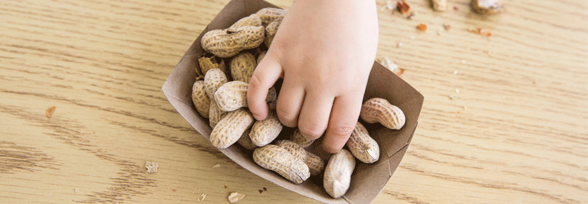 Ein kontrollierter Konsum von Erdnüssen in den ersten Lebensjahren ist zumindest teilweise erfolgsversprechend.