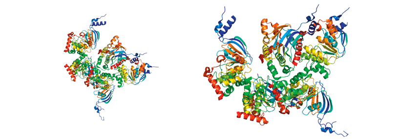 Auf verschiedenen Wegen will man Ausprägung und Funktion des CFTR-Proteins verbessern.