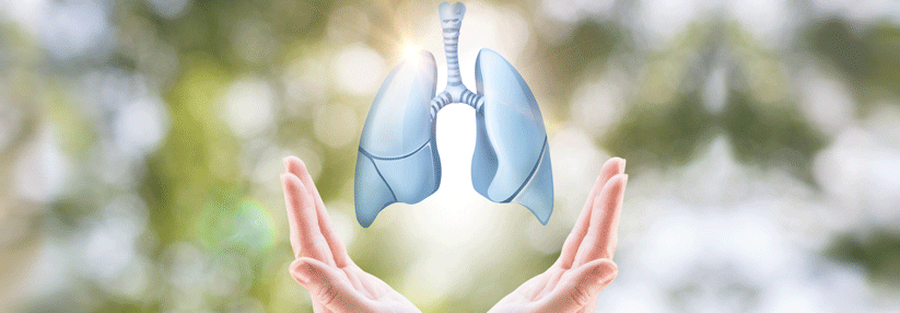 Die zunehmende Fibrosierung der Lunge im Zuge der ILD ist eine der Haupttodesursachen bei Patienten mit Sklerodermie.