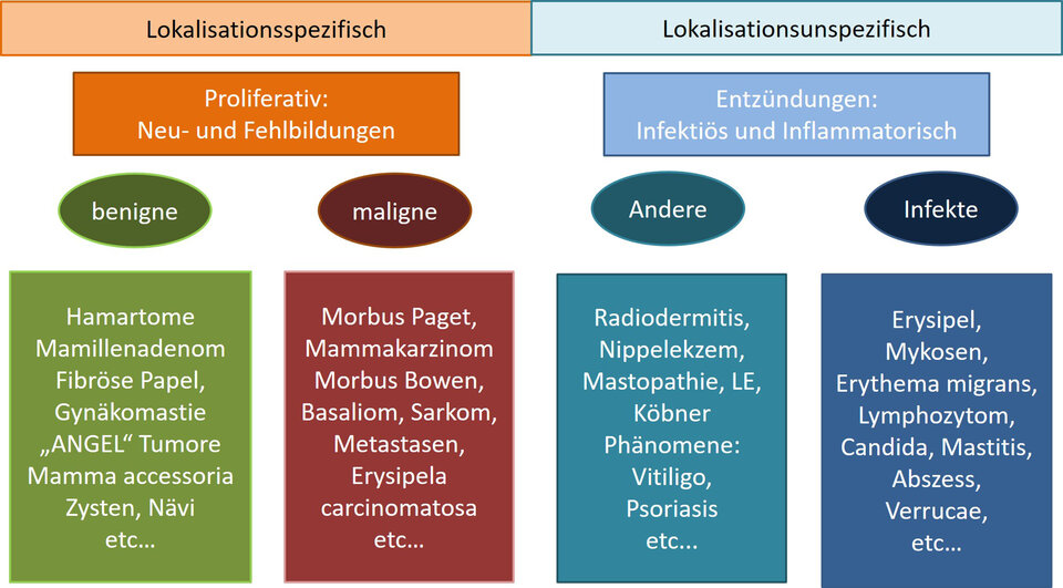 Abb. 1: Einteilung von dermatologischen Veränderungen an Brust und Mamille.