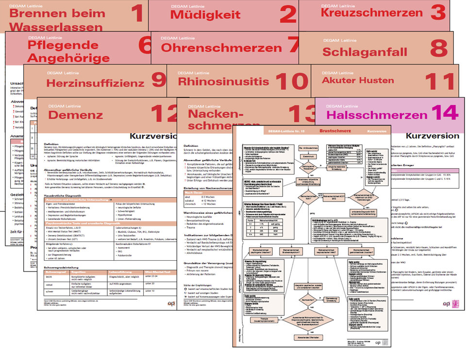 Abb. 1: Kurzversionen der DEGAM-Leitlinien