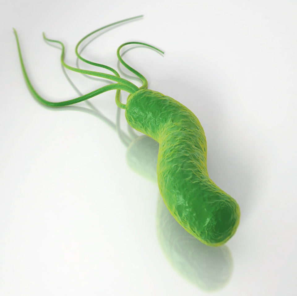 Heliobacter pylori