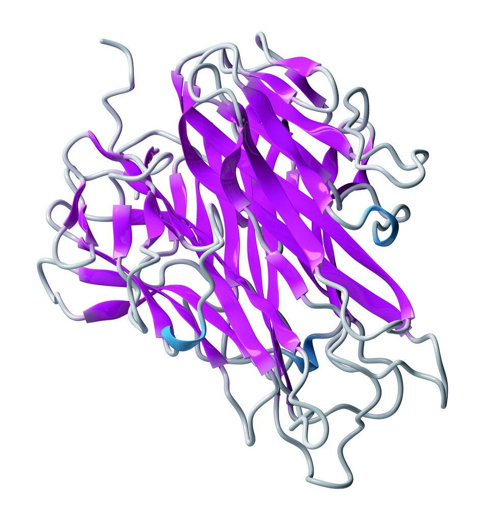 Der Tumornekrosefaktor alpha ist ein 
zentrales Angriffsziel bei der Behandlung der axSpA (3-D-Illustration).
