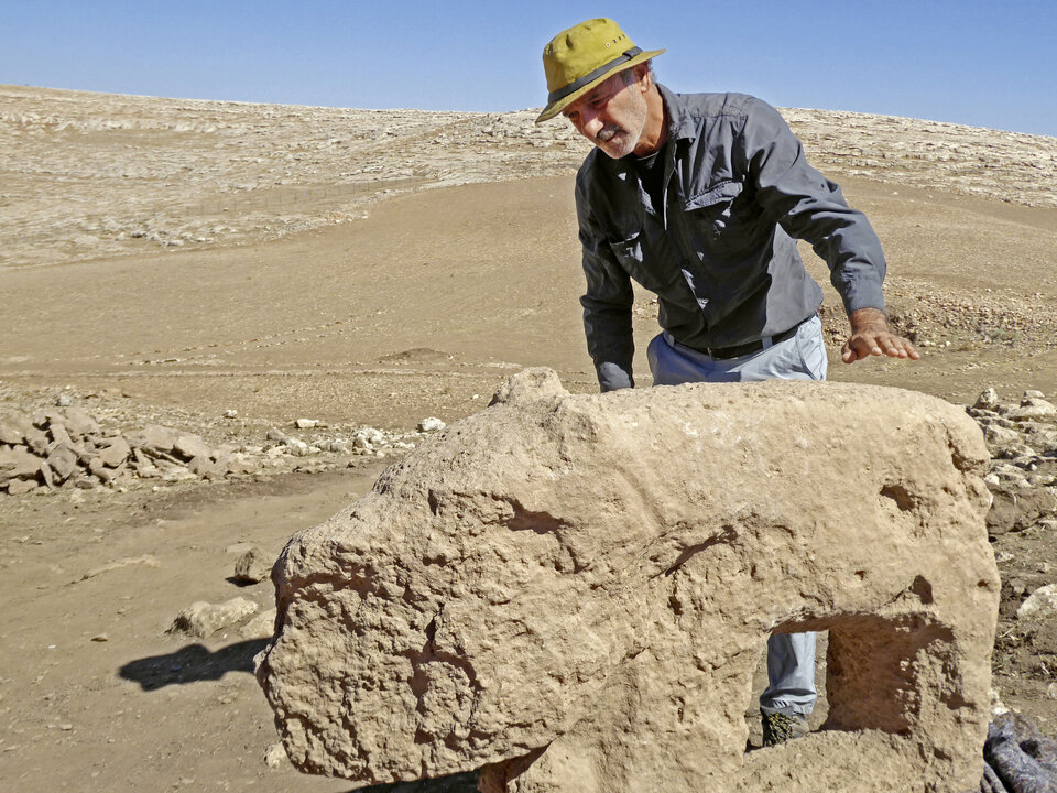 Abb. 3: Karahan Tepe – Prof. Necmi Karul begutachtet den soeben geborgenen Löwen.