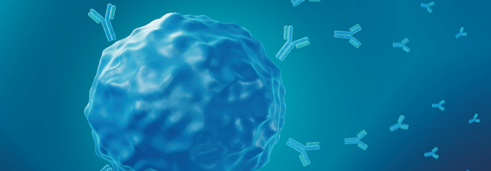 Die Daten zeigen, dass sich die Effizienz der Impfungen steigern lässt, wenn man statt Protein mRNA injiziert.